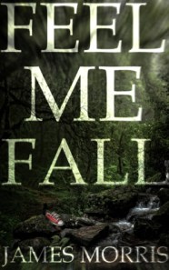Feel Me Fall james morris book cover