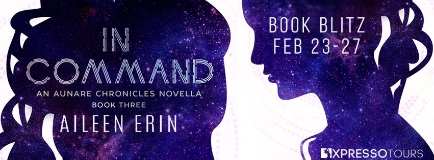 InCommandBlitzBanner