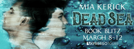 DeadSeaBlitzBanner