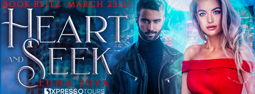 HeartandSeekBlitzBanner