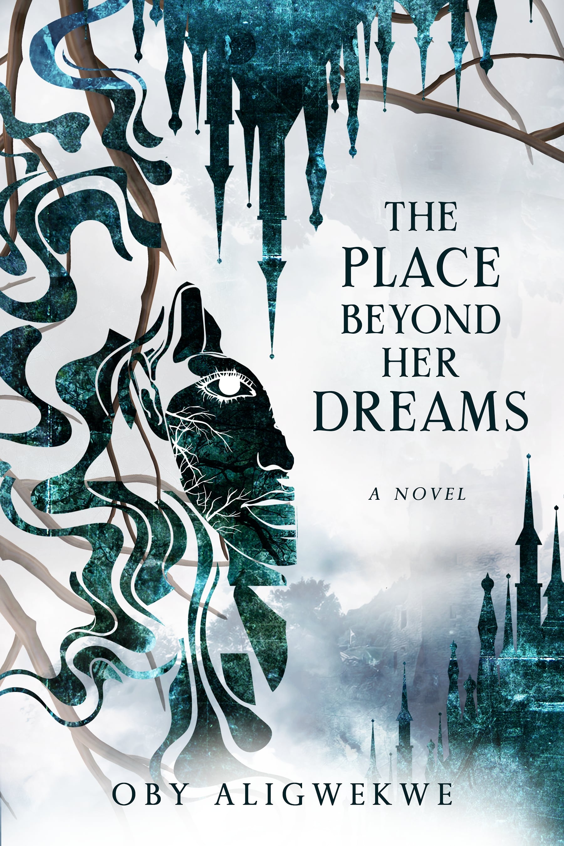 The Place Beyond Her Dreams book cover